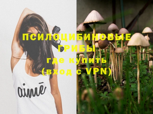 таблы Ладушкин
